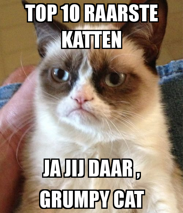 top-10-raarste-katten-ja-jij-daar-grumpy-cat.png