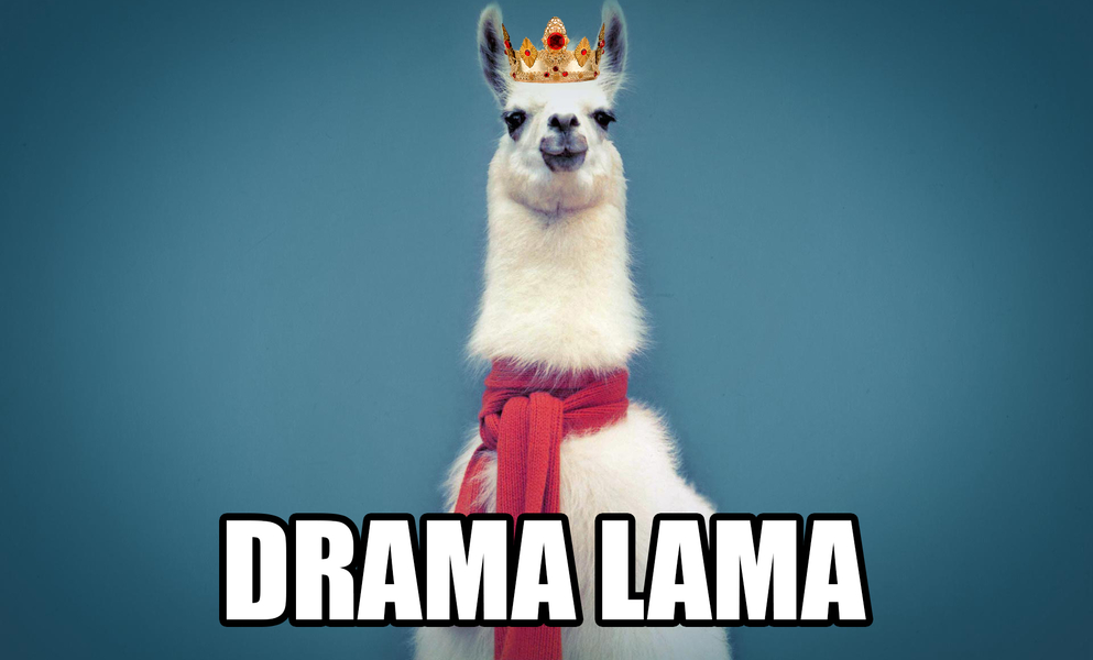 drama_lama.jpg